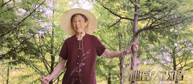 一家三口39年如一日，接力守護“活化石”；設計師打造山水鄉居，愛心回報“護鱷奶奶”