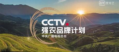 農業農村部持續加快推進“仿種子”清理工作